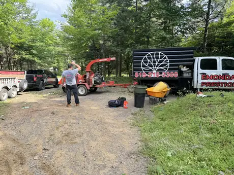Tree Pruner Piedmont