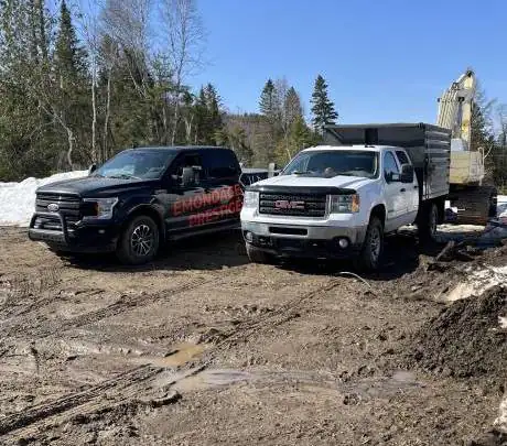 Tree removal Laurentides