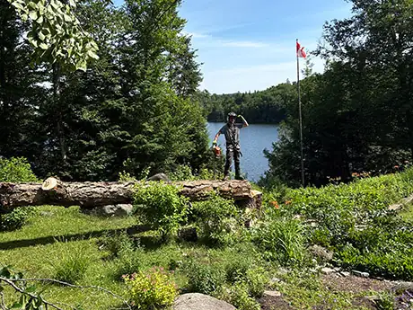 Tree Trimming Morin-Heights