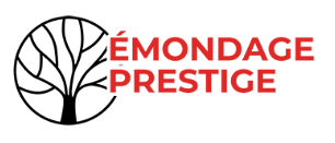 Émondage Prestige