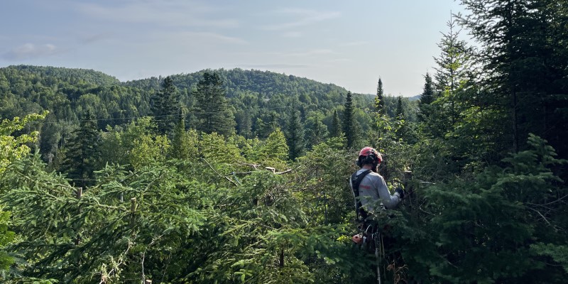 Émondage Prestige Laurentides