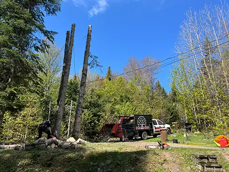 Tree Trimming Val-Morin